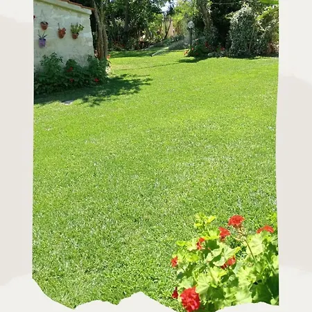 Mylife Bed & Breakfast