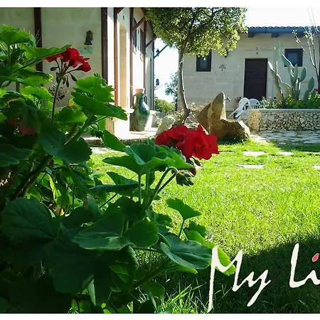 Bed & Breakfast Mylife