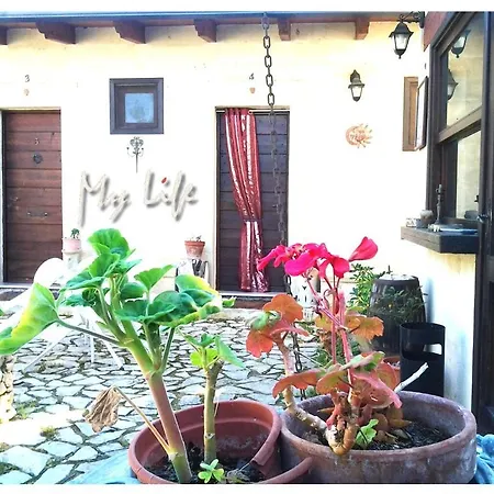 Mylife Bed & Breakfast *